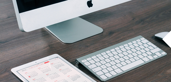 Create your own CV